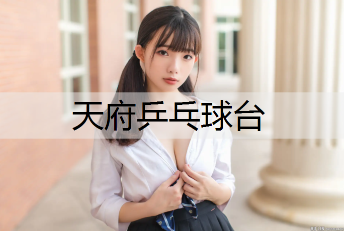 天府乒乓球台