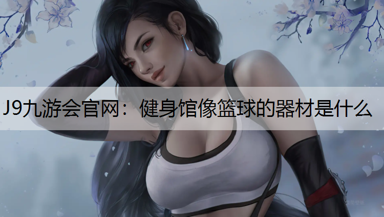J9九游会官网：健身馆像篮球的器材是什么