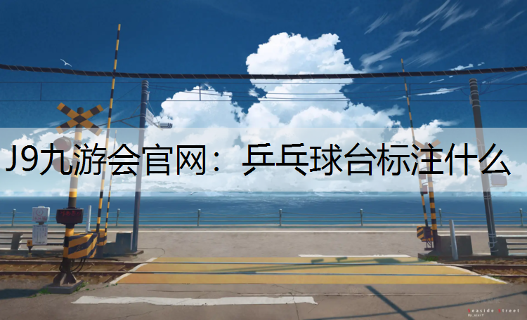 J9九游会官网：乒乓球台标注什么