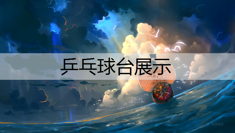 乒乓球台展示