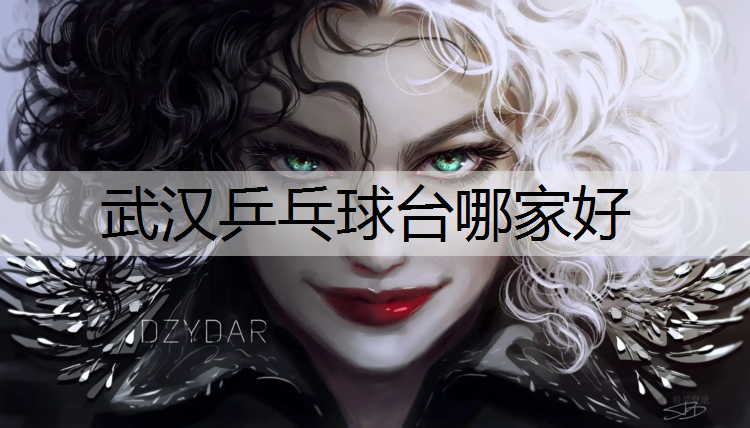 武汉乒乓球台哪家好