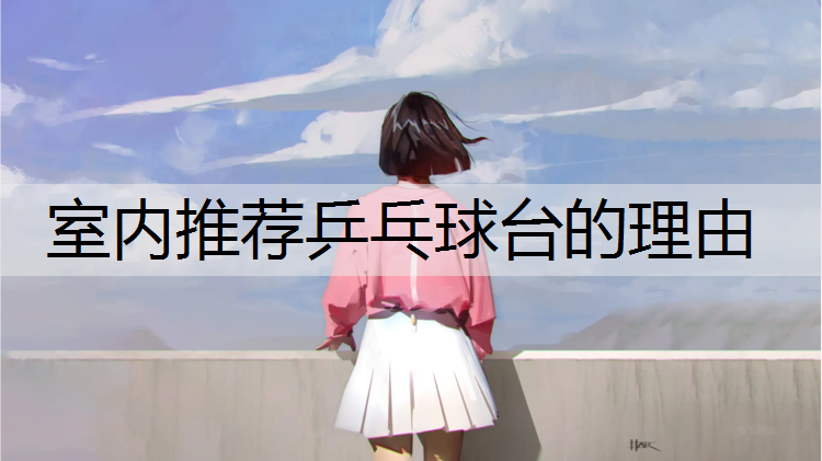 室内推荐乒乓球台的理由