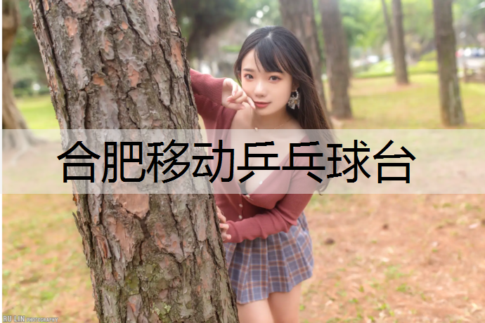 合肥移动乒乓球台