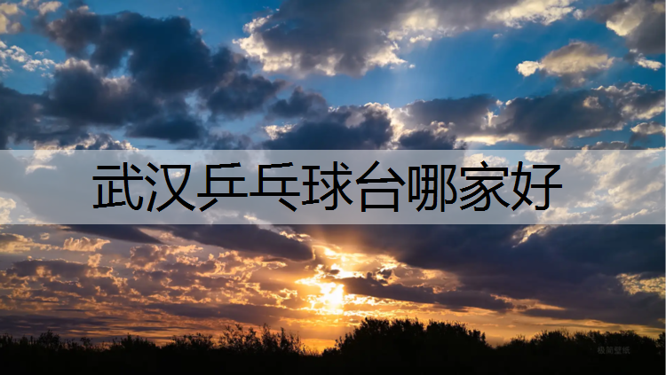 武汉乒乓球台哪家好