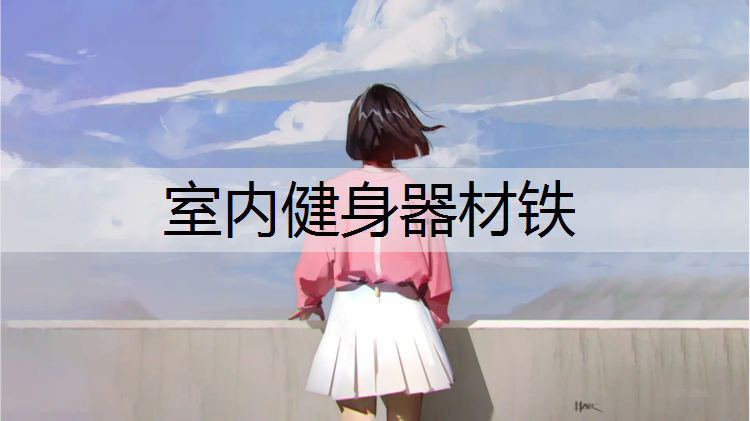 室内健身器材铁